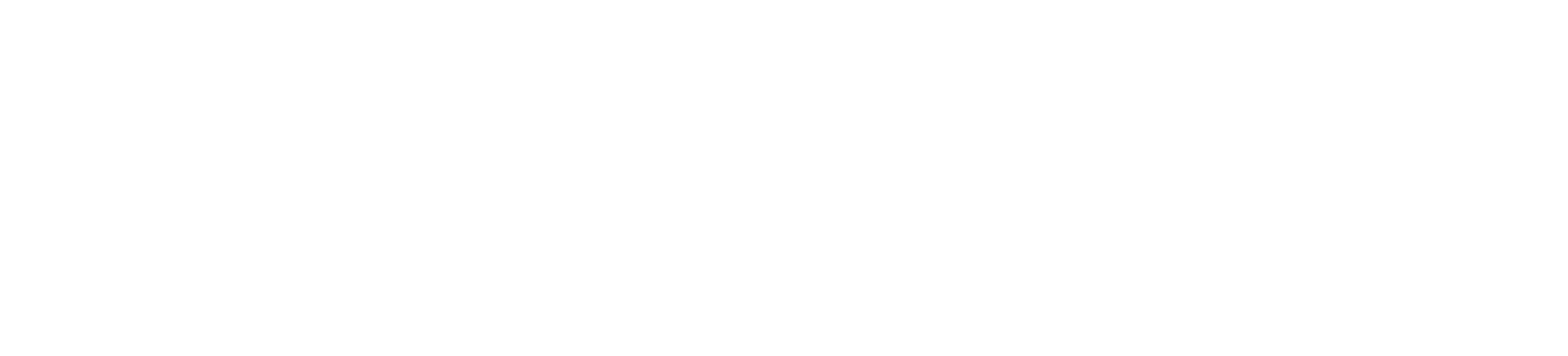ZMIND AB Logo